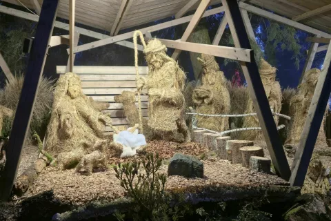 jaslice, arboretum volčji potok / Foto: Alenka Brun