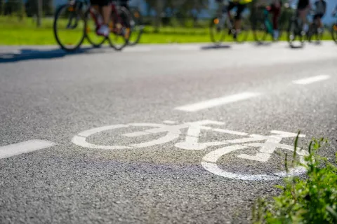 Simbolična fotografija rekreacijsko kolesarjenje Radovljica / Foto: Nik Bertoncelj