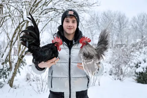 David Hrup Mavsar pasma chabo / Foto: Tina Dokl