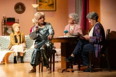 Zlata dekleta živijo pod isto streho in imajo v svojih življenjih kup komičnih težav. / Foto: Peter Ko&scaron;enina