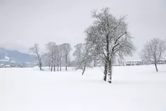 sneg sneženje cesta snežne razmere plug pluženje splužene ceste mraz Kranj snežak sneženi mož / Foto: Tina Dokl