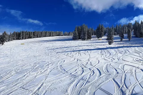 Fotografija je simbolična. / Foto: Pixabay