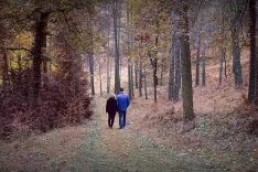 Fotografija je simbolična. / Foto: Pixabay