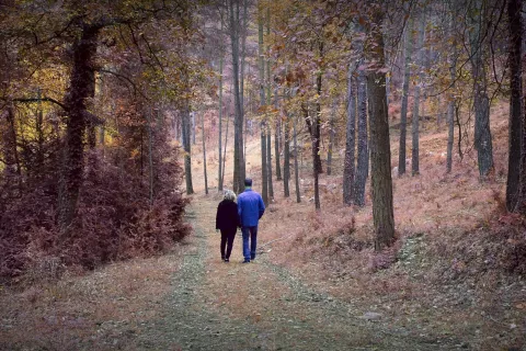 Fotografija je simbolična. / Foto: Pixabay