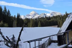 Pobudo so prevzeli poslanci