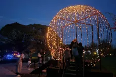 večerni sprehod med lučkami Arboretum Volčji Potok 2025 / Foto: Alenka Brun