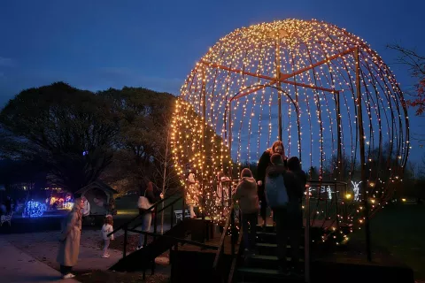 večerni sprehod med lučkami Arboretum Volčji Potok 2025 / Foto: Alenka Brun