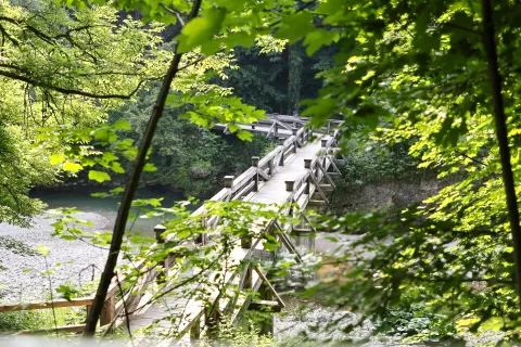 kanjon reke Kokre splo&scaron;ne klop, most, voda soteska, simbolične du&scaron;evna stiska, vročina, ohladitev / Foto: Tina Dokl