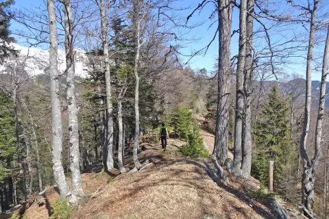 Vr&scaron;ni greben Primožkovi hribov. / Foto: Jelena Justin