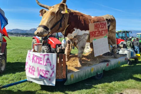 Nevladne kmetijske organizacije spet stopnjujejo protestne aktivnosti. Na sliki: protest marca 2023 ob cesti na Brdo / Foto: Cveto Zaplotnik