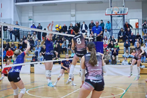 Odbojkarice so se / Foto: Franci Humerca, Ozs