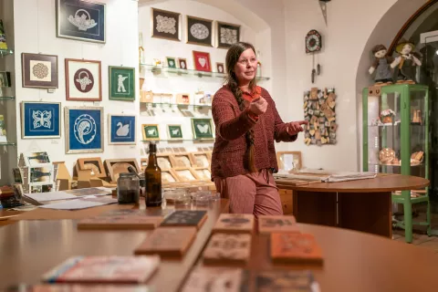 Nina Možina, predavanje panjske končnice / Foto: Simon Benedičič