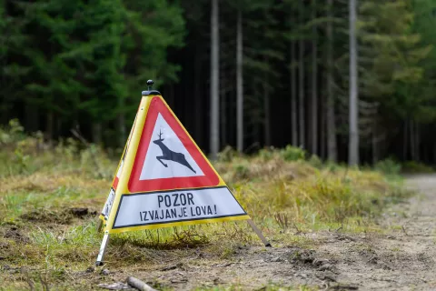 Simbolična fotografija gozd in gozdarstvotabla pozor izvajanje lova lovci lovska družinajesen 2025 / Foto: Nik Bertoncelj