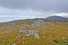 Pogled z grebena Krvave Kote proti Maliću. / Foto: Jelena Justin