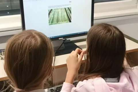 Znani so zmagovalci &scaron;olskega tekmovanja v ekokvizu, ki se bodo aprila pomerili &scaron;e na državnem tekmovanju. / Foto: Arhiv Programa Eko&scaron;ola