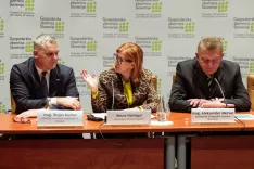 Shema za pomoč elektro intenzivni industriji / Foto: Tadej Kreft, Gzs