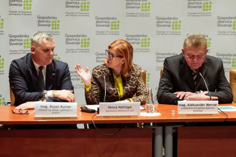 Shema za pomoč elektro intenzivni industriji / Foto: Tadej Kreft, Gzs