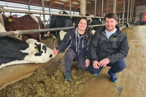 Metka in Peter ob kravah v hlevu / Foto: Cveto Zaplotnik