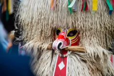 Pustna povorka Jesenice14.2.2026 / Foto: Nik Bertoncelj