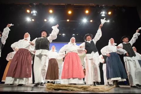 Folklorna skupina FS Kamnik, na prireditvi Ples in glasba izpod kamni&scaron;kih planin 2025. Kamnik, 29. 11. 2025 / Foto: Matic Zorman