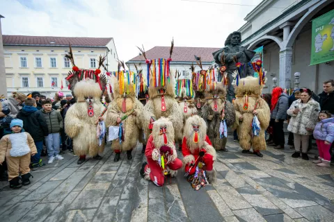 Krančkov karneval 2026, pustovanje v Kranju / Foto: Primož Pičulin