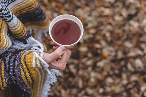 Fotografija je simbolična. / Foto: Pixabay