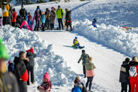 Jutri Smu&scaron;ki dan v Planici