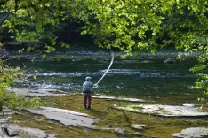 Fotografija je simbolična / Foto: Pixabay