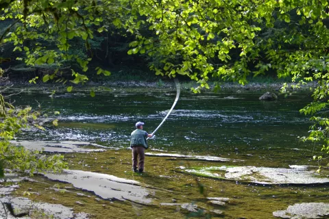 Fotografija je simbolična / Foto: Pixabay