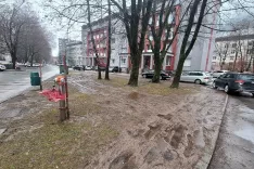 Bodo postavili količke?