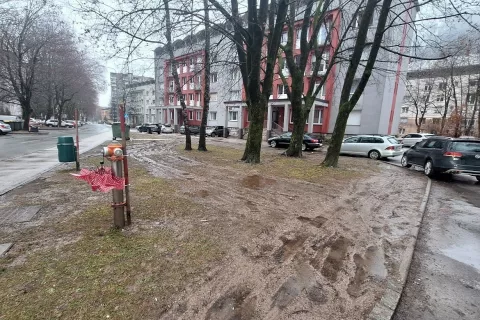 Bodo postavili količke?