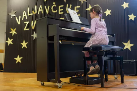 Prireditev Valjavčeve zvezde, na O&Scaron; Matije Valjavca Preddvor / Foto: Primož Pičulin