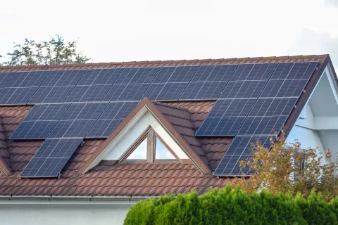 sončna elektrarna / Foto: Tina Dokl