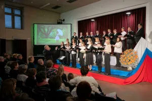 Novi pravilnik o kulturnih dejavnostih