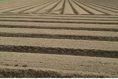 Določitev trajno varovanih kmetijskih zemlji&scaron;č je namenjeno za&scaron;čiti zemlji&scaron;č pred urbanizacijo. / Foto: Cveto Zaplotnik