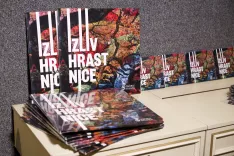 Bluzon predstavitev nova plo&scaron;ča in CD Izliv Hrastnice, na Lo&scaron;kem odru &Scaron;kofja loka / Foto: Tina Dokl