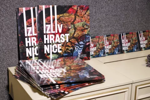 Bluzon predstavitev nova plo&scaron;ča in CD Izliv Hrastnice, na Lo&scaron;kem odru &Scaron;kofja loka / Foto: Tina Dokl