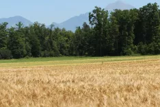 V razpravi je bilo sli&scaron;ati mnenje, da so gozdarji in kmetijci v prostoru na isti strani in da se morajo le dogovoriti, kako se bodo uprli pritisku kapitala in politike za poseganje na kmetijska zemlji&scaron;ča in gozdove. / Foto: Cveto Zaplotnik