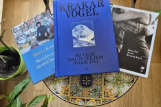 simbolična fotka / Foto: Igor Kavčič