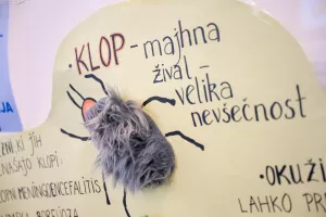 Dan odprtih vrat Zdravstveni dom Jesenice, Dan varnosti pacientov, klop / Foto: Nik Bertoncelj