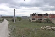 Glamočko polje / Foto: Slavko Zupanc