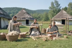  / Foto: Ilustracija Jurij Žitek