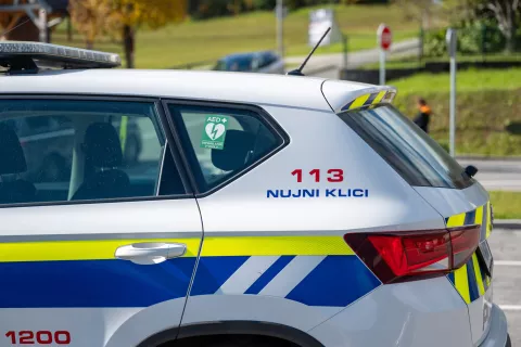 Simbolična fotografija Policija / Foto: Nik Bertoncelj