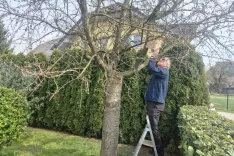 Da bodo ptice lažje gnezdile