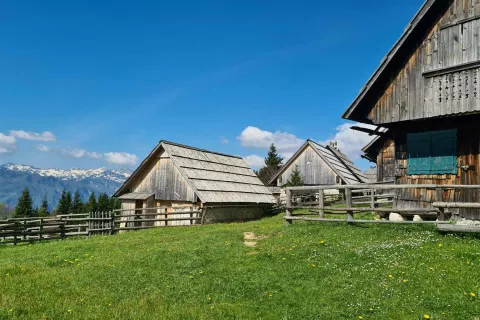 Planina Javornik Pokljuka / Foto: Marjana Ahačič