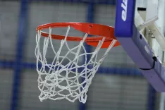 ko&scaron;arka Simbolična fotografija ko&scaron; žoga / Foto: Tina Dokl