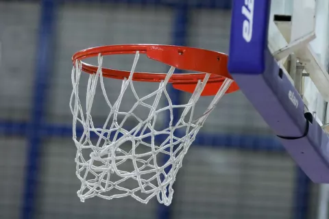 ko&scaron;arka Simbolična fotografija ko&scaron; žoga / Foto: Tina Dokl