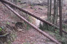 Podrto drevje ponekod onemogoča gozdarjem, da ocenijo posledice vetroloma. / Foto: Cveto Zaplotnik
