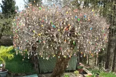 Drevo s pirhi, Lojzka Mrgole / Foto: Ana Jagodic Dolžan