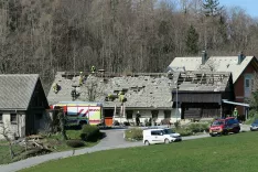 &Scaron;tefanja Gora, vetrolom / Foto: Ana Jagodic Dolžan